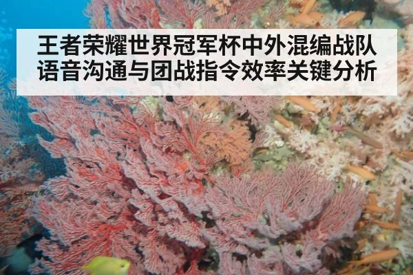 王者荣耀世界冠军杯中外混编战队语音沟通与团战指令效率关键分析