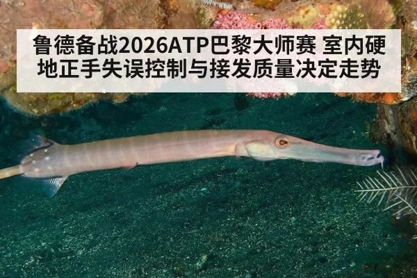 鲁德备战2026ATP巴黎大师赛 室内硬地正手失误控制与接发质量决定走势